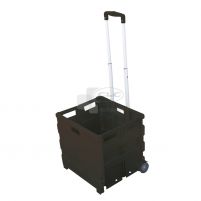 Porte-tout pliable Pack & Roll